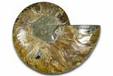 Cut & Polished Ammonite Fossil (Half) - Madagascar #364883-1